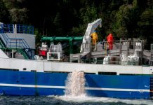 En la prensa: Estudio industria salmonera y riesgos climáticos