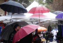 Roberto Rondanelli: «Todavía estamos en un año hiperseco» (Las Últimas Noticias)