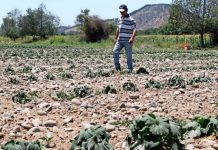 Latinoamérica y el Caribe es una de las regiones más afectadas por desastres climáticos (El Mercurio)