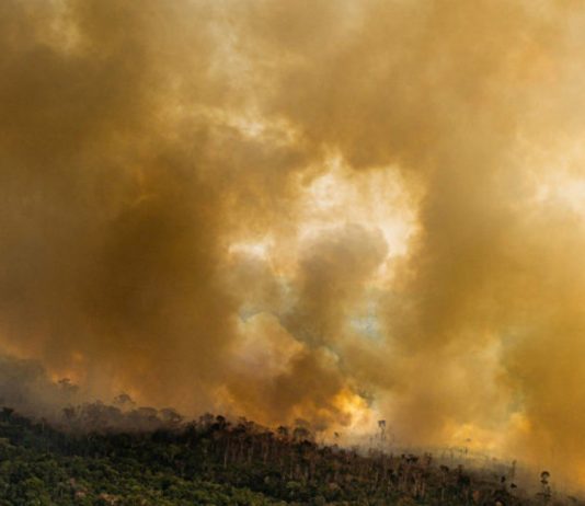 Informe del IPCC sobre cambio climático: daños causados al planeta son irreversibles y la humanidad es la responsable (Mongabay)