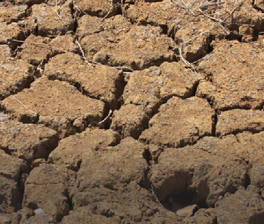 Boletín N°1 Nueva Constitución chilena y cambio climático | La emergencia climática