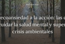 De la ecoansiedad a la acción: las claves para cuidar la salud mental y superar las crisis ambientales (Ladera Sur)