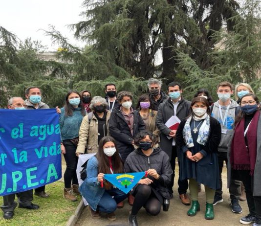 En la prensa: Exposición de Maisa Rojas en Convención Constitucional