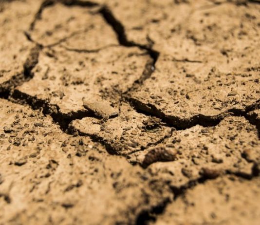 Cambio climático y déficit de lluvias: ¿Qué depara el futuro para la Región de Los Ríos? (Río en línea)