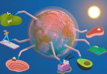 Qué hacer para disminuir el grave efecto del cambio climático proyectado para Chile (La Tercera)