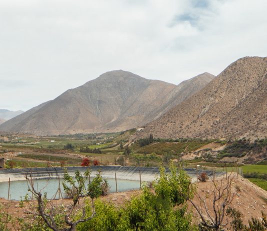 Atrapadas en Monte Patria (Pousta)