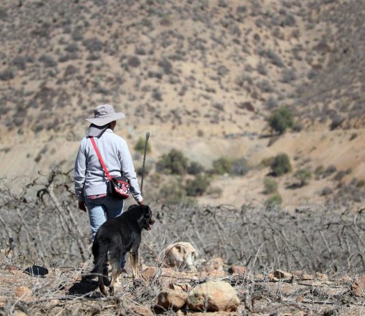 Migrantes climáticos en el país: el drámatico éxodo de miles de chilenos debido a la sequía y el clima extremo (La Tercera)