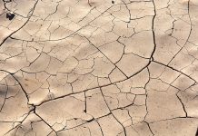 Crisis hídrica y nueva Constitución: expertos advierten sobre la grave situación que vive Chile (Noticias U. de Chile)