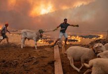 Carta de científicos climáticos a la COP26 llama al reconocimiento total de la ciencia y a una mayor ambición (El Mostrador)