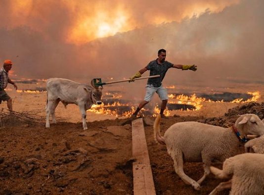 Carta de científicos climáticos a la COP26 llama al reconocimiento total de la ciencia y a una mayor ambición (El Mostrador)