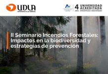 7 de diciembre | II Seminario Incendios Forestales: Impacto en la biodiversidad y estrategias de prevención
