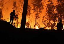 Al menos 190 hectáreas fueron afectadas por incendio forestal de Nacimiento (Resumen)