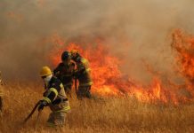 Superficie devastada por incendios forestales supera en un 42% el promedio de los últimos cinco años (La Tercera)