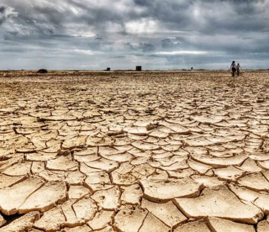 El cambio climático y los cambios en el uso del suelo aumentan riesgo de incendios en Chile central (El Mostrador)