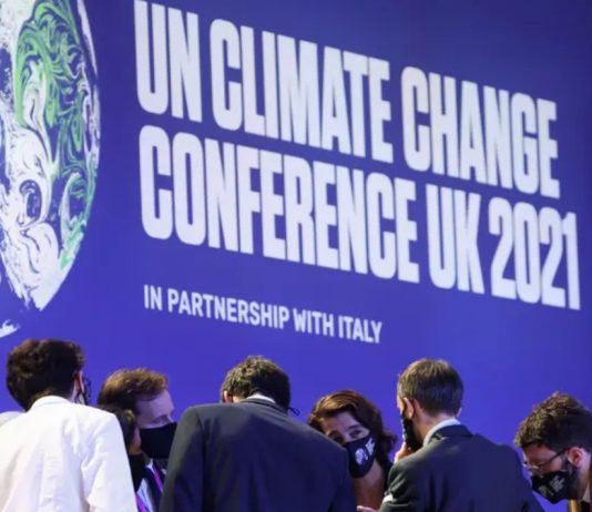 Un dinosaurio descubierto en Chile; el primer fármaco contra el alzheimer y el despegue del turismo espacial: 10 hitos científicos de 2021 (La Tercera)