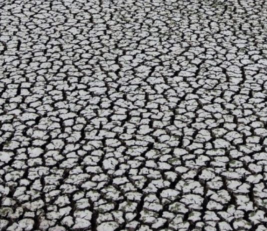 Agua para consumo humano y protección de bosques nativos: convencionales proponen normas ambientales (Radio Biobío)