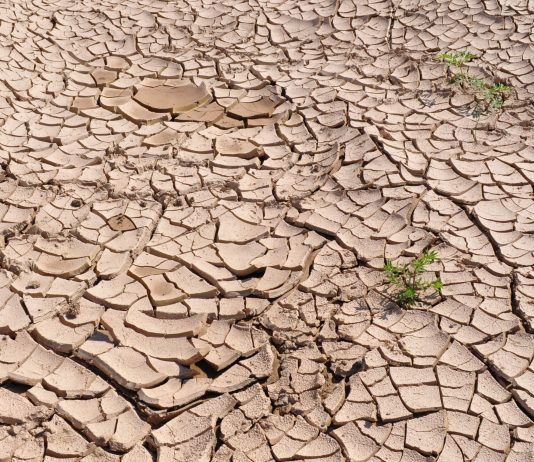 Investigadoras de centros FCFM se adjudican fondos de investigación estratégica en sequía (Noticias FCFM U. de Chile)