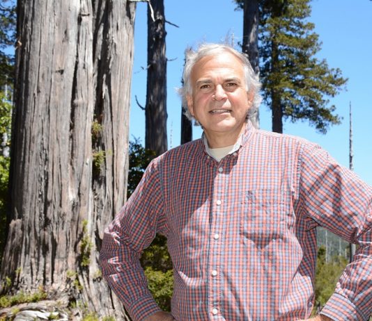 El árbol patagónico de 5.000 años que guarda respuestas sobre el futuro del clima en la Tierra (BBC)