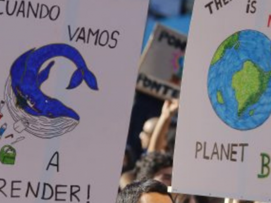 Medio Ambiente y nueva Constitución: ¿Cuáles son las iniciativas populares de norma más votadas por la ciudadanía? (CNN Chile)