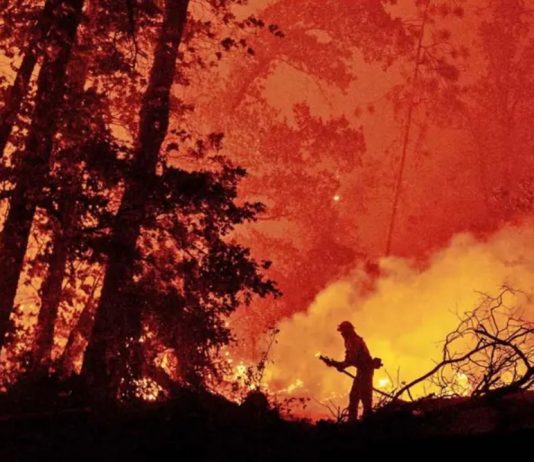 Estudios que explican la ocurrencia de grandes incendios (Cooperativa)