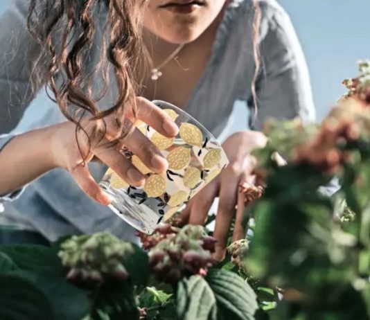 No lavan el auto, evitan fugas y reutilizan la de la ducha: así cuidan el aguan en sus casas los expertos en recursos hídricos (El Mercurio)