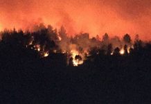 Tres comunas del Biobío se encuentran en alerta por incendios forestales (Resumen)