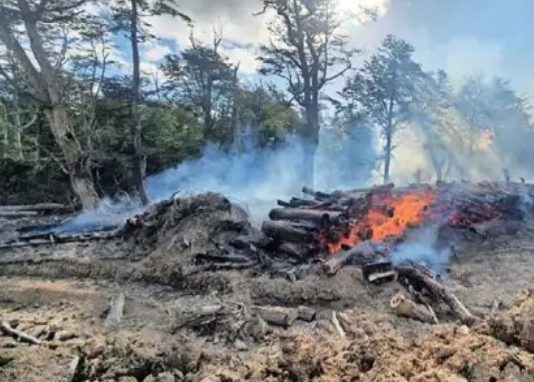 Incendio en Tierra del Fuego alcanza turberas milenarias y pone en riesgo a la flora y fauna nativa (El Mercurio)
