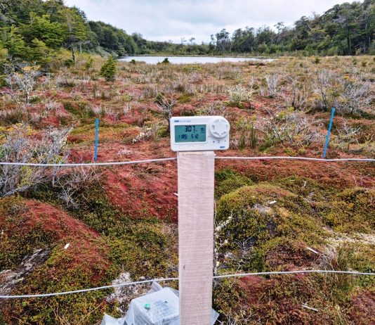 En la prensa: Proyecto CHIC