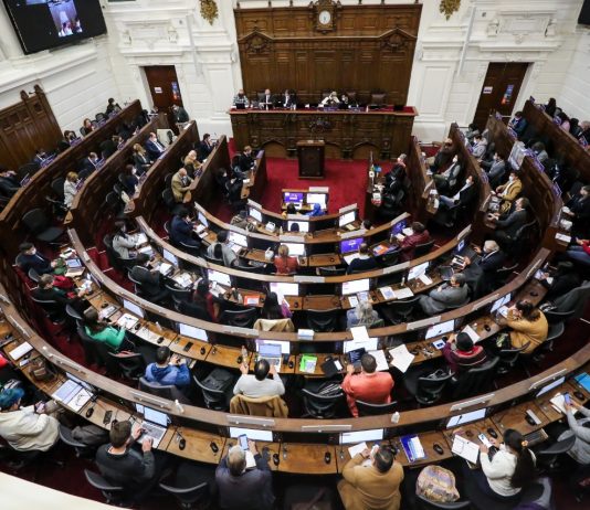 Profesora Pilar Moraga presenta propuestas a dos Comisiones de la Convención Constitucional (Noticias Derecho U. de Chile)