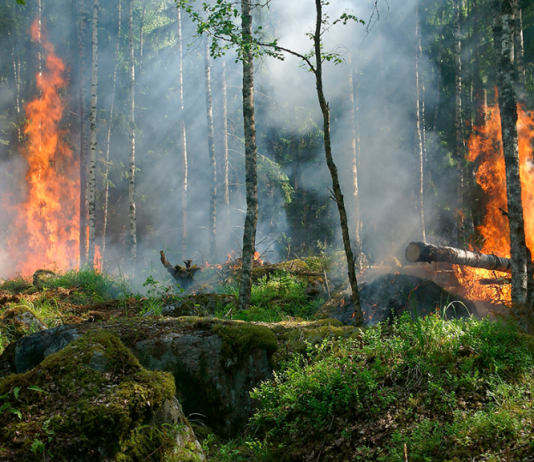 Nuevo informe de cambio climático ONU: por qué Chile es un “país altamente vulnerable” (La Tribuna)