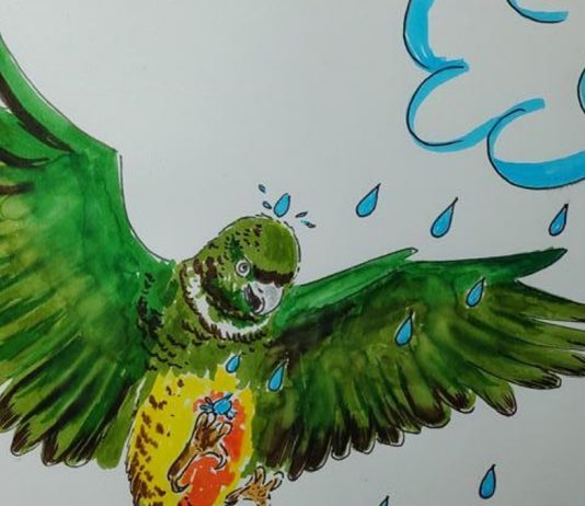 Lora Tricahue protagonizará cuento sobre meteorología y clima