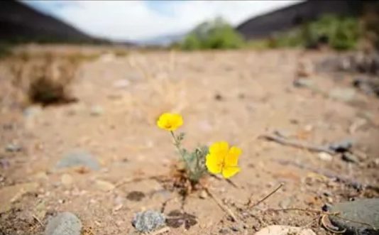 Se acerca un posible invierno seco: «Mientras antes se establezca La Niña, peor para nosotros» (TVN)