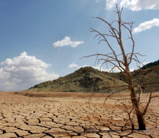 Zona centro de Chile derecho al «Día Cero» del agua: Informe advierte que seguridad hídrica será crítica en 2050 (El Ciudadano)