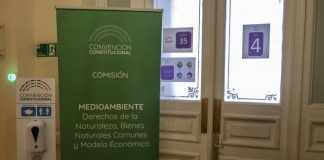 «Los avances en materia ambiental de la Convención Constitucional» por Marco Billi, Roxana Bórquez, Antoine Maillet y Pilar Moraga