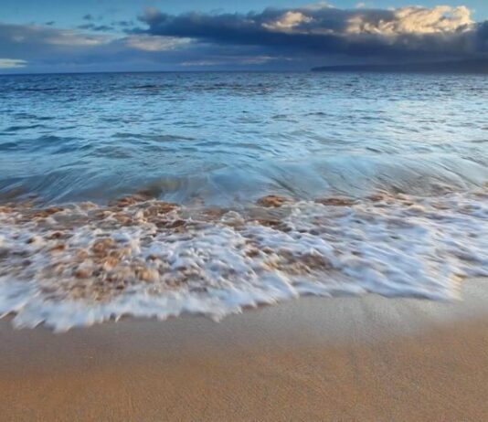 Mar en Chile: de retos y oportunidades para conservar su vital papel (Diario Concepción)