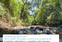 12 de mayo | Conferencia Online FAO «Cambio climático y gestión del riesgo: una agenda común»