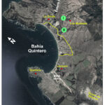 Draft Fig 1_DIc 2021