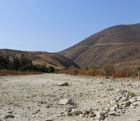 Académica María Fragkou por crisis hídrica: «No hay leyes que protejan el derecho humano al agua» (24 Horas)