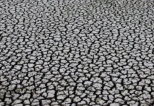 Especialistas alertaron sobre el modo en que se aborda la crisis medioambiental (El Dínamo)