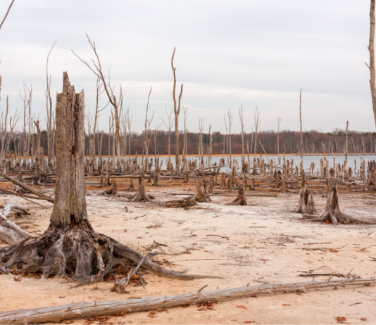 Escasez hídrica en Chile: Desafíos de un futuro con menos agua (Beauchef Magazine)