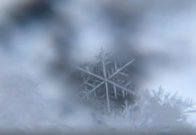 Nunca dejan de sorprender: una aproximación a los copos de nieve, donde no hay uno igual a otro (Ladera Sur)