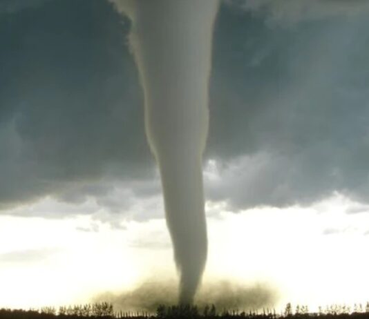 La destrucción que dejó el desconocido tornado que pasó por Santiago (Radio Bío Bío)