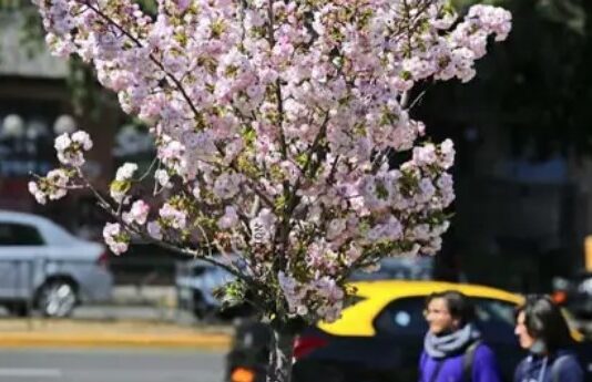 Por influencia de fenómeno de La Niña, este año ha sido el más frío desde 2011 en la zona central (El Mercurio)