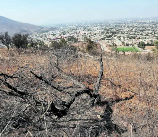 ¿Fueron suficientes las lluvias invernales para dar por terminada la megasequía? (La Tercera)