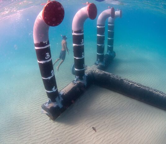 Advierten que los procesos de desalinización pueden impactar negativamente a los ecosistemas marinos (País Circular) Imagen de: http://hagainativ.com/