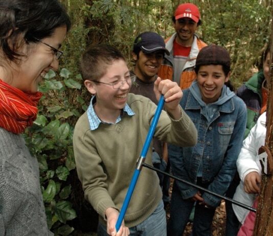 30 años aportando a la ciencia desde el estudio de anillos de árboles (Diario UACh) Imagen de: Diario UACh
