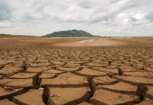 “El tono ha sido que es necesario avanzar en mayores compromisos”: Representante del CR2 profundiza sobre los temas principales y los avances de la COP27 (Radio ADN)