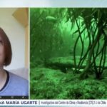 Entrevista Ana María Ugarte CNN