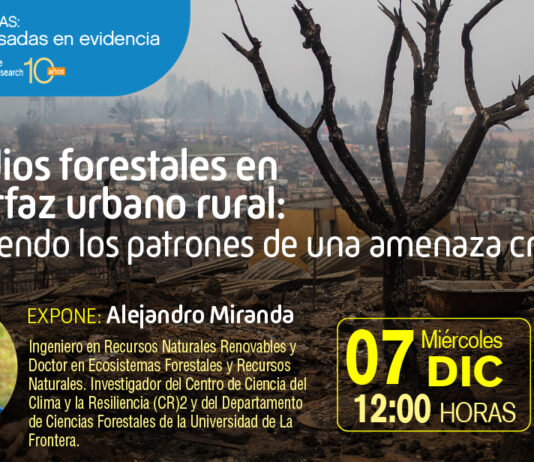 7 de diciembre | Charla: «Incendios forestales en la interfaz urbano rural: entendiendo los patrones de una amenaza creciente»