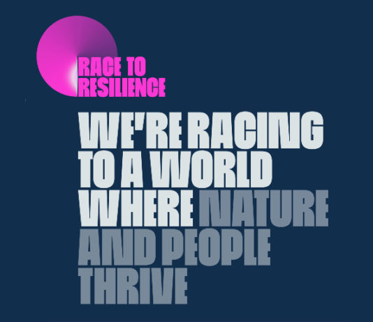 COP27: El rol clave que juega el Centro de Ciencia del Clima y la Resiliencia (CR)2 en la acción global de lucha contra el cambio climático